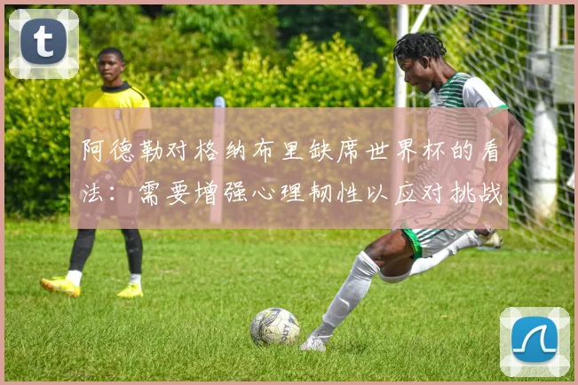 阿德勒对格纳布里缺席世界杯的看法：需要增强心理韧性以应对挑战