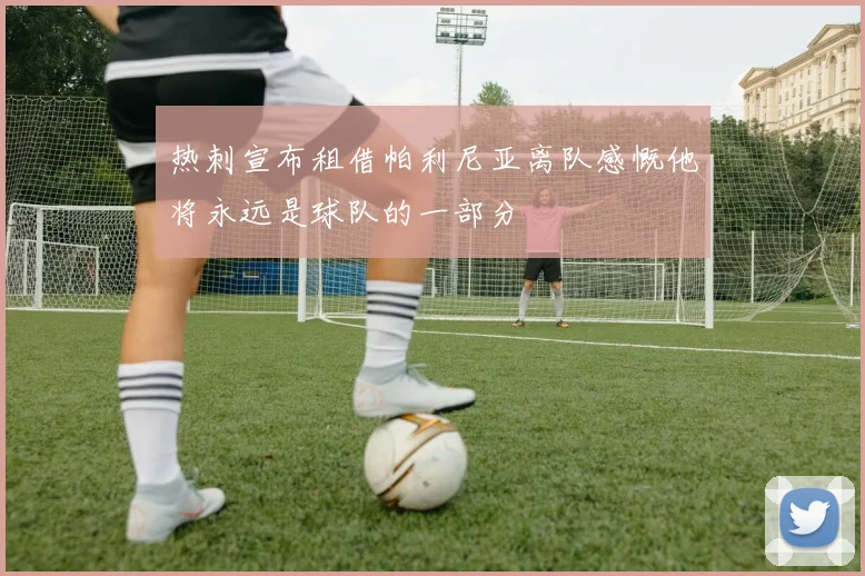 热刺宣布租借帕利尼亚离队感慨他将永远是球队的一部分