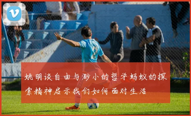 姚明谈自由与渺小的哲学蚂蚁的探索精神启示我们如何面对生活