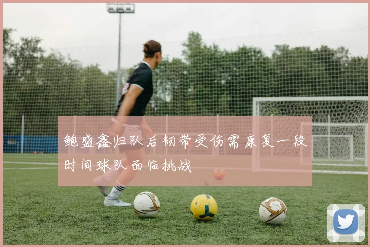 鲍盛鑫归队后韧带受伤需康复一段时间球队面临挑战